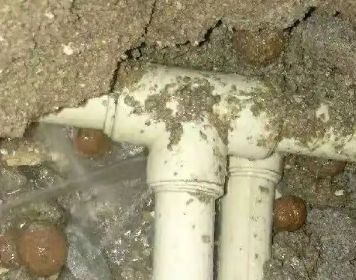 东台测漏水多少钱