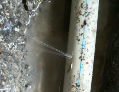 东台测漏水哪家好