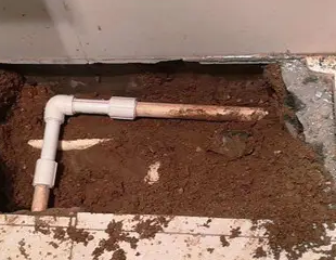 东台测漏水哪家好