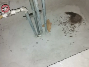 东台卫生间测漏水价格明细