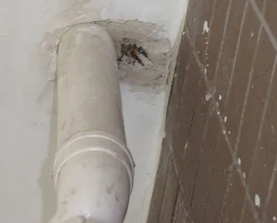 东台漏水检测哪家好